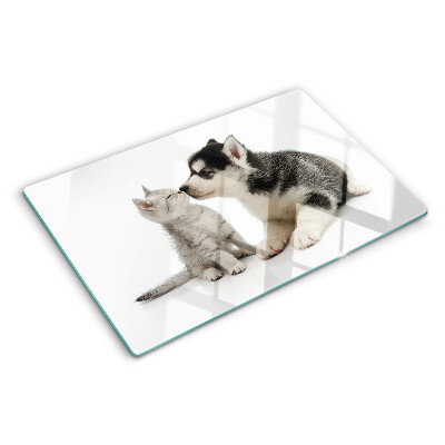 Glass kitchen board Kitten and puppy in friendship