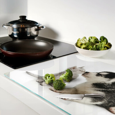 Glass kitchen board Kitten and puppy in friendship