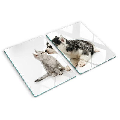 Glass kitchen board Kitten and puppy in friendship