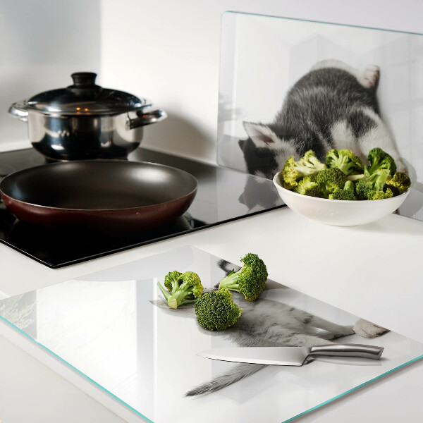 Glass kitchen board Kitten and puppy in friendship