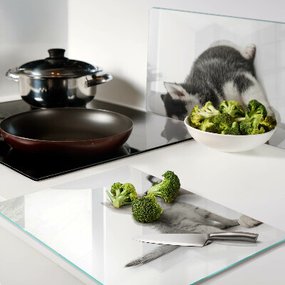 Glass kitchen board Kitten and puppy in friendship