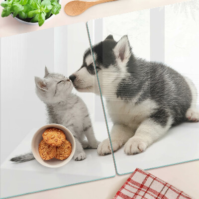 Glass kitchen board Kitten and puppy in friendship