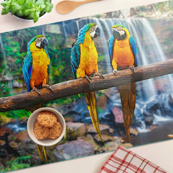 Chopping board Parrots on a branch in a tropical forest