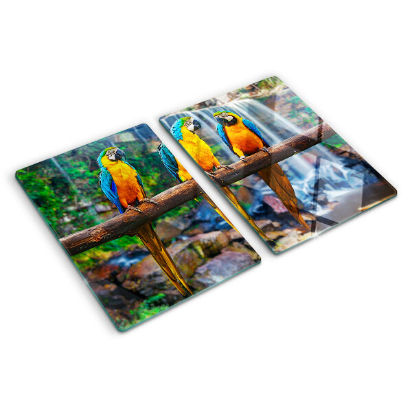 Chopping board Parrots on a branch in a tropical forest