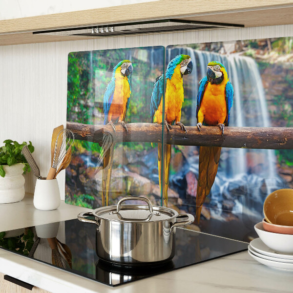 Chopping board Parrots on a branch in a tropical forest