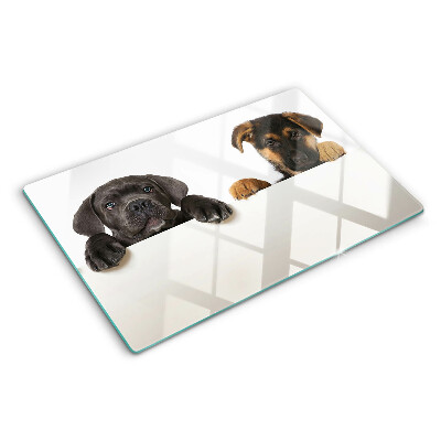 Cutting board Two dogs looking around