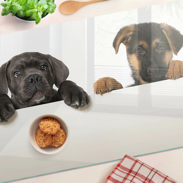 Cutting board Two dogs looking around