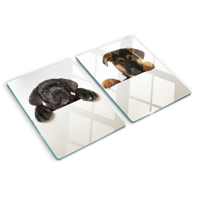 Cutting board Two dogs looking around