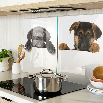 Cutting board Two dogs looking around