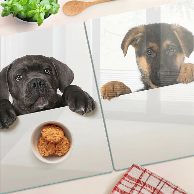 Cutting board Two dogs looking around