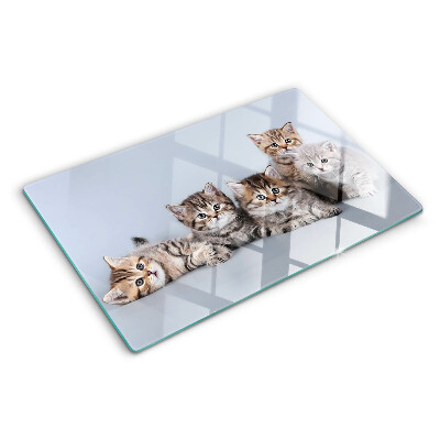 Glass cutting board Cats in the background of the window