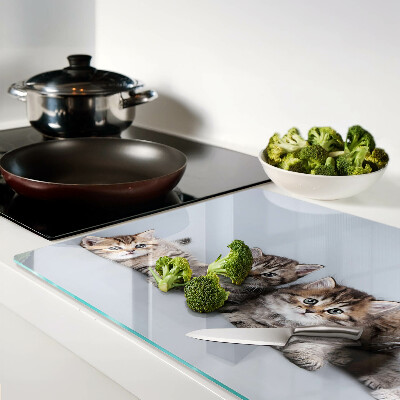 Glass cutting board Cats in the background of the window