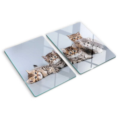 Glass cutting board Cats in the background of the window