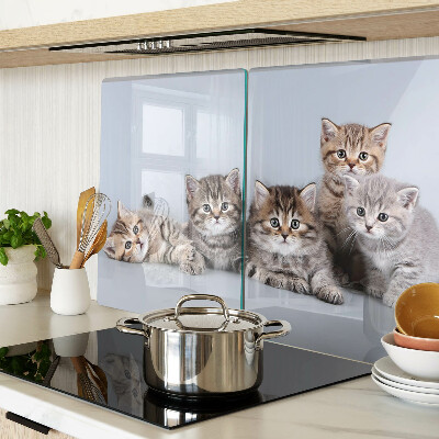 Glass cutting board Cats in the background of the window