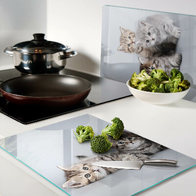 Glass cutting board Cats in the background of the window