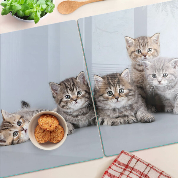 Glass cutting board Cats in the background of the window