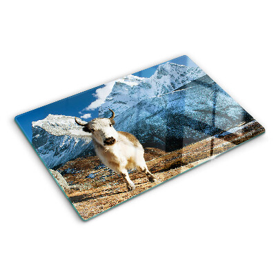 Glass kitchen board A cow in the mountains