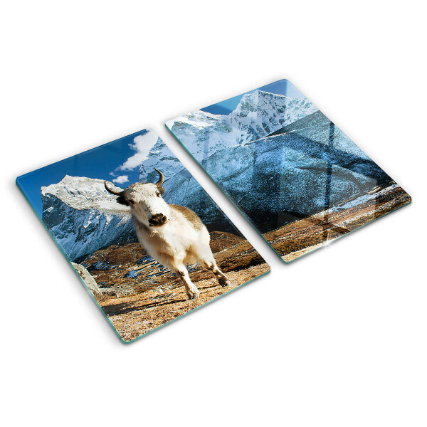Glass kitchen board A cow in the mountains