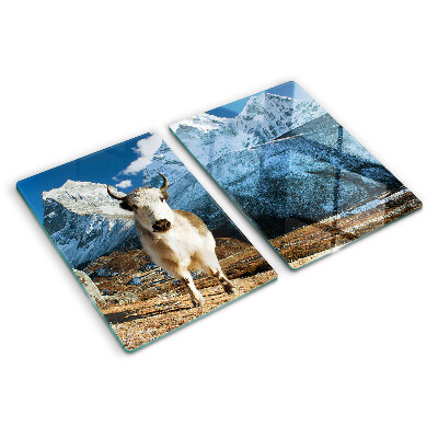 Glass kitchen board A cow in the mountains