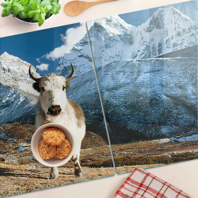 Glass kitchen board A cow in the mountains