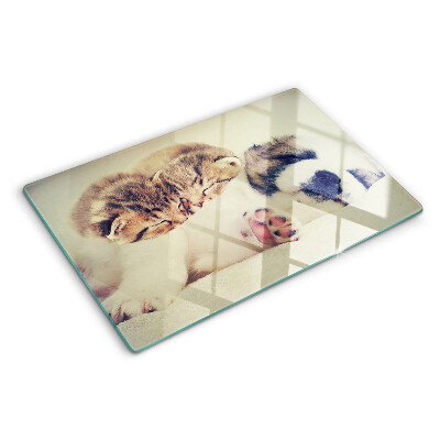 Chopping board Cats and a dog sleeping together