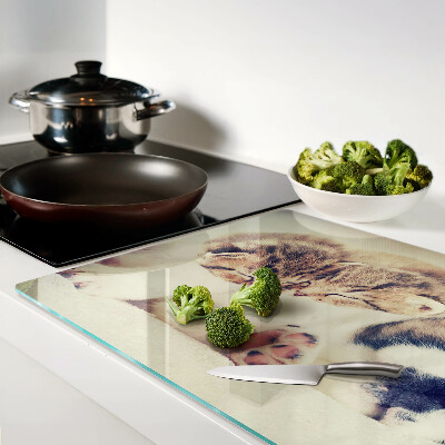 Chopping board Cats and a dog sleeping together