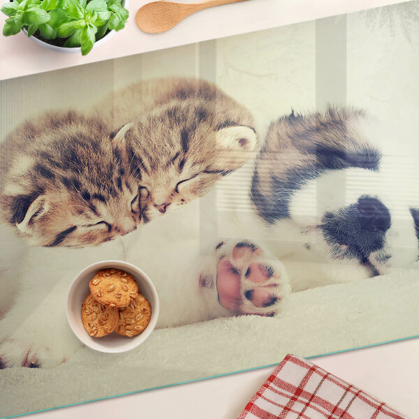 Chopping board Cats and a dog sleeping together