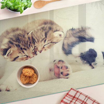 Chopping board Cats and a dog sleeping together
