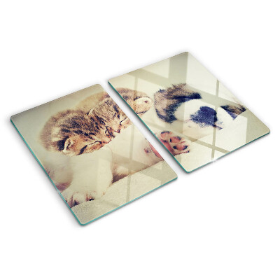 Chopping board Cats and a dog sleeping together