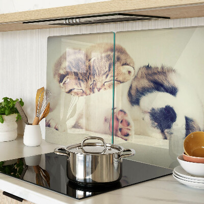 Chopping board Cats and a dog sleeping together