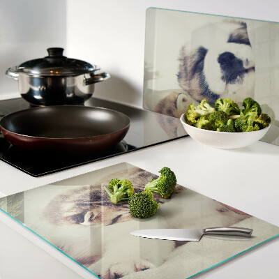 Chopping board Cats and a dog sleeping together