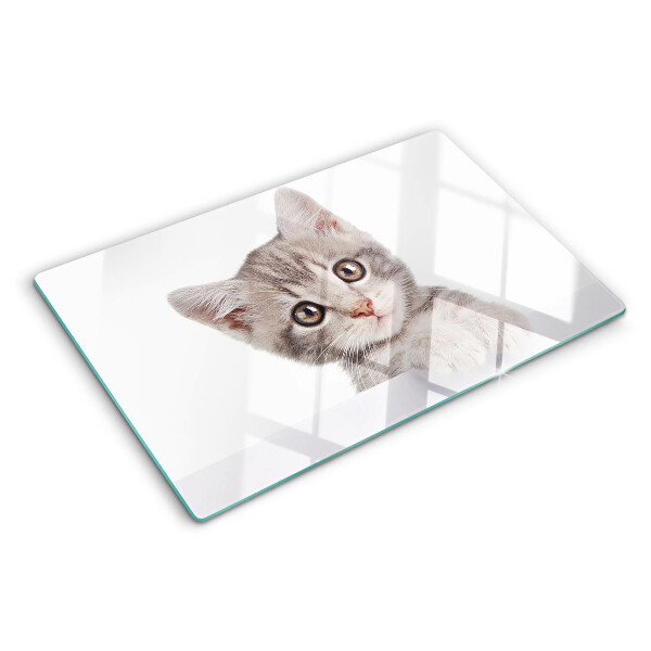 Glass chopping board Kitten with big eyes