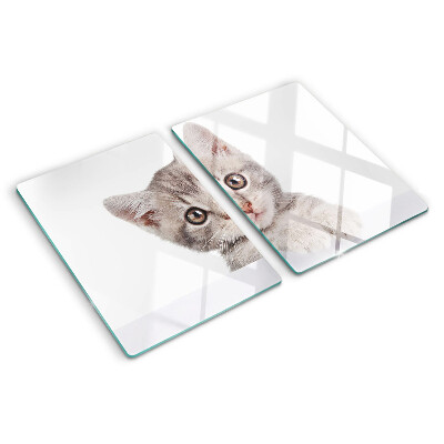 Glass chopping board Kitten with big eyes