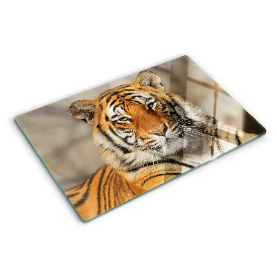 Glass kitchen board A tiger in its natural state