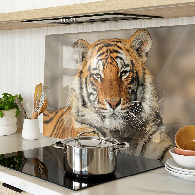 Glass kitchen board A tiger in its natural state