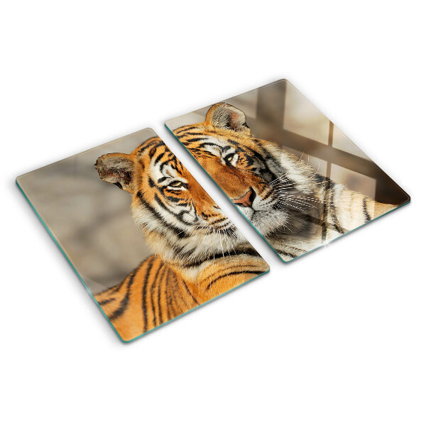 Glass kitchen board A tiger in its natural state