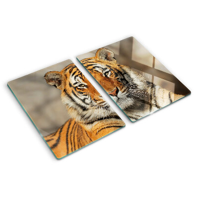 Glass kitchen board A tiger in its natural state