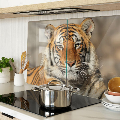 Glass kitchen board A tiger in its natural state