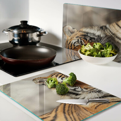 Glass kitchen board A tiger in its natural state