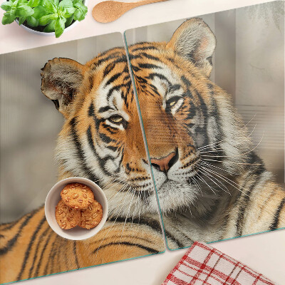 Glass kitchen board A tiger in its natural state