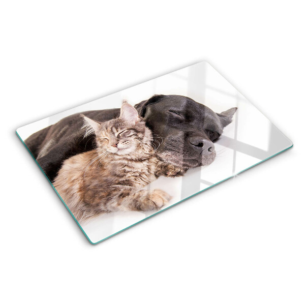 Glass chopping board Cat and dog sleeping together