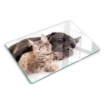 Glass chopping board Cat and dog sleeping together