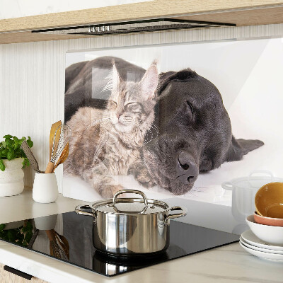 Glass chopping board Cat and dog sleeping together