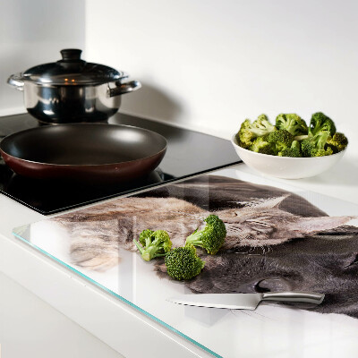 Glass chopping board Cat and dog sleeping together