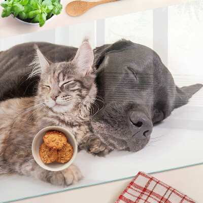 Glass chopping board Cat and dog sleeping together