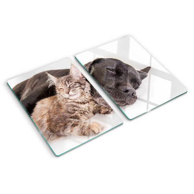 Glass chopping board Cat and dog sleeping together