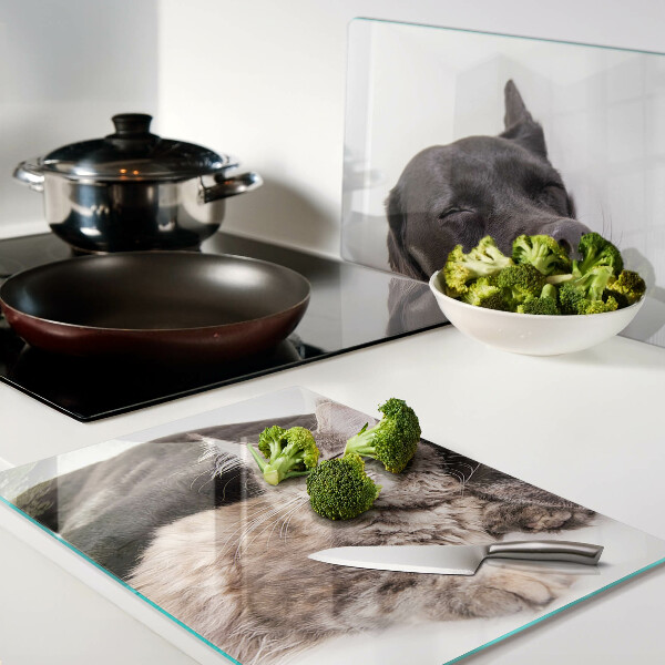 Glass chopping board Cat and dog sleeping together