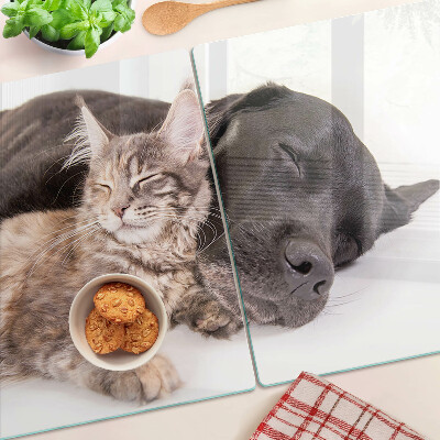 Glass chopping board Cat and dog sleeping together