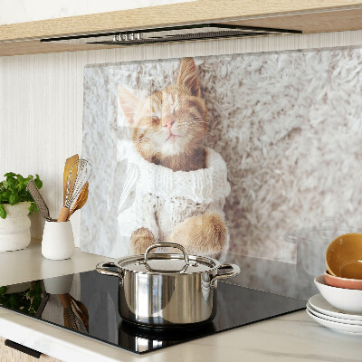 Glass kitchen board Cute kitty in a sweater