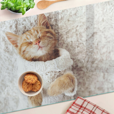 Glass kitchen board Cute kitty in a sweater